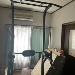 steady 懸垂台　ディップス