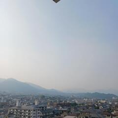 日本語を教えてください🐝 - メンバー募集