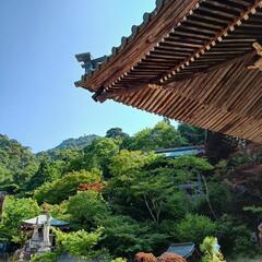 日本語を教えてください🐝 - 廿日市市