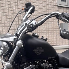 スポーツスター インジェクション　3.3ガロンタンクの画像