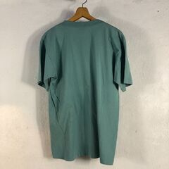 🔷🔶期間限定・特別価格🔶🔷USA製 スチームボート STEAMBOAT グラフィックTシャツ ヴィンテージ風 山プリント 緑 XLサイズ相当の画像