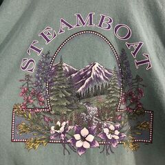 🔷🔶期間限定・特別価格🔶🔷USA製 スチームボート STEAMBOAT グラフィックTシャツ ヴィンテージ風 山プリント 緑 XLサイズ相当の画像