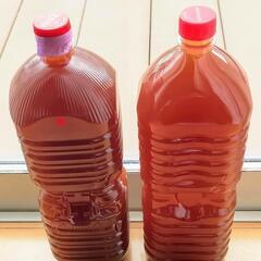 【在庫3本】超濃厚PSB 光合成細菌 活バクテリア2L〜　熱帯魚.メダカ.金魚.家庭菜園や観葉植物と様々な用途へ♪の画像