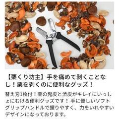 栗くり坊主 栗 皮むき 新品未使用【引き取り限定】の画像