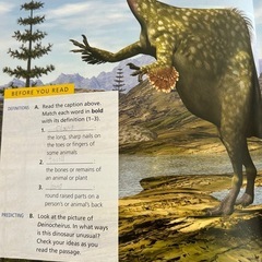 reading explore 1B 英語の教科書の画像