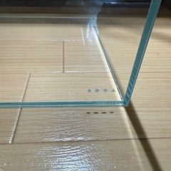 DOOA　前切り水槽の画像