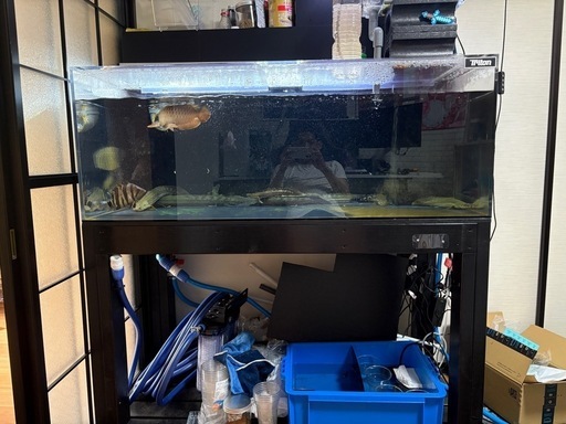 今週まで最終値引き！Triton1200水槽