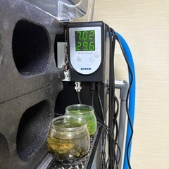 今週まで最終値引き！Triton1200水槽の画像
