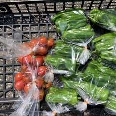 ピーマン1袋(4個)100円の画像