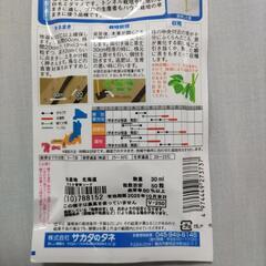 枝豆の種の画像