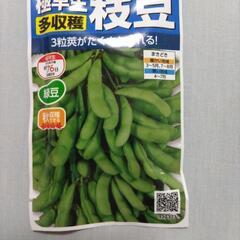 枝豆の種