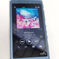 【現状品】SONY ウォークマン NW-A56/32GB