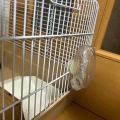 ゲージの画像
