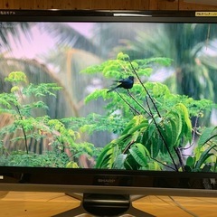 SHARP 42型液晶テレビの画像