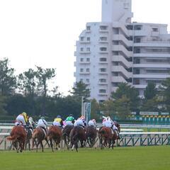 月末！中京競馬ありますね。競馬仲間待ってます😅