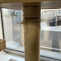 猫　キャットタワーの画像