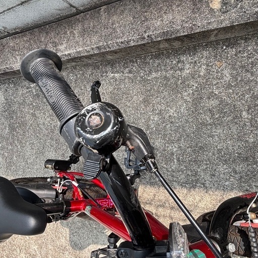 d-bike master プラス 14インチ　レッド