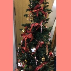 【7月27日まで受渡し限定】150㎝クリスマスツリー【スリム】の画像