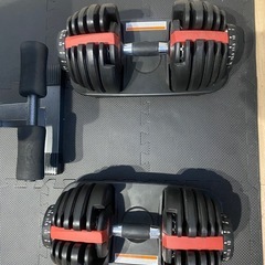 引取り限定　ベンチ、可変式ダンベル、懸垂マシンセットの画像