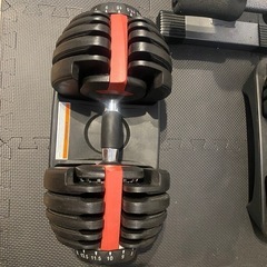 引取り限定　ベンチ、可変式ダンベル、懸垂マシンセットの画像