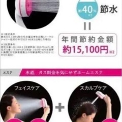 【新品未使用】三栄水栓エステシャワープロ フェイス＆スカルプケア　ホームエステ　定価12800円　シャワーヘッドの画像