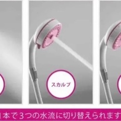 【新品未使用】三栄水栓エステシャワープロ フェイス＆スカルプケア　ホームエステ　定価12800円　シャワーヘッドの画像
