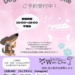 Dog Salon Wan-One