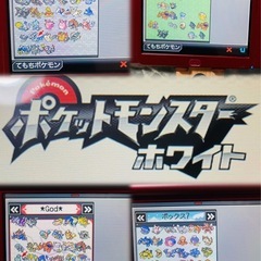 ポケットモンスター　中古ソフト　まとめ売り　DS 3DS ポケモン　セット ポケットモンスター 中古ソフト まとめ売り DS 3DS ポケモン