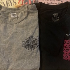 Tシャツ【Mサイズ】＊4枚セットお値下げ中 の画像