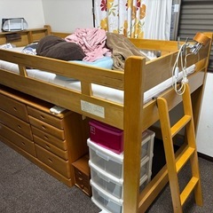 低めのロフトベッドの画像