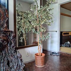 本物そっくり観葉植物の画像