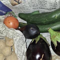 ちょっと残念な野菜たちの詰め合わせの画像