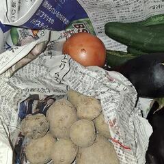 ちょっと残念な野菜たちの詰め合わせの画像