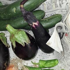 ちょっと残念な野菜たちの詰め合わせの画像