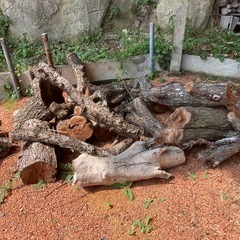 広葉樹丸太  薪などにの画像