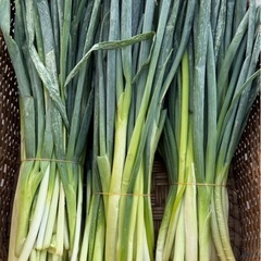 ネギ2キロ　の画像