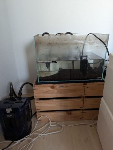 ADA45センチ水槽