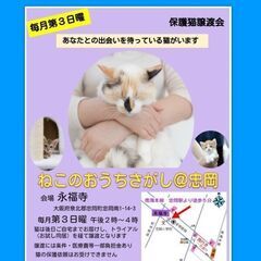 【蚊帳の中でお見合いできる保護猫譲渡会】ねこのおうちさがし@忠岡