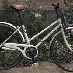 自転車クリーニングします！