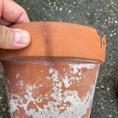 植木鉢　陶器　セット　少し大きめの画像