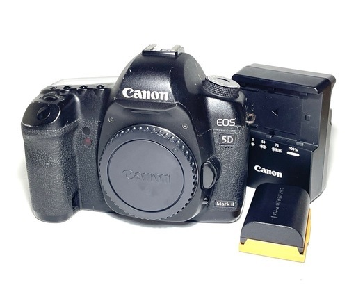 Canon EOS 5D MARK2 動作品 【公式通販】