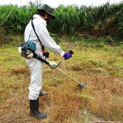 安価で頼みやすい草刈りさせてください！