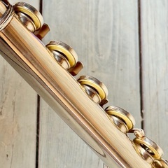 Pearl Flute PF-501 Eメカ付き