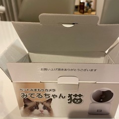 『7月20日まで』みてるちゃん　猫　　の画像