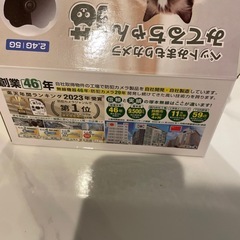 『7月20日まで』みてるちゃん　猫　　の画像