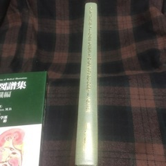 『千円即決』医学図譜集 腎臓編 医学書 の画像