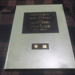 『千円即決』医学図譜集 腎臓編 医学書 の画像