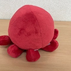 合格祈願の可愛いぬいぐるみ 【オクトパス】置くとパスの画像