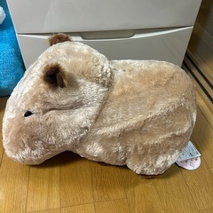 カピバラの画像
