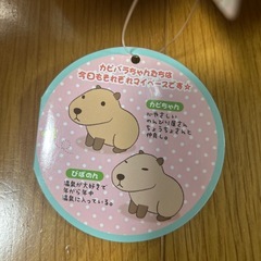 カピバラの画像